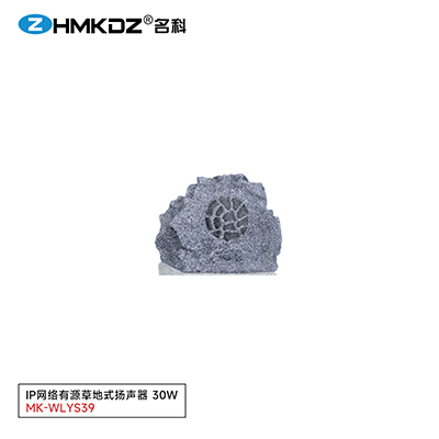 IP網絡有源草地式揚聲器